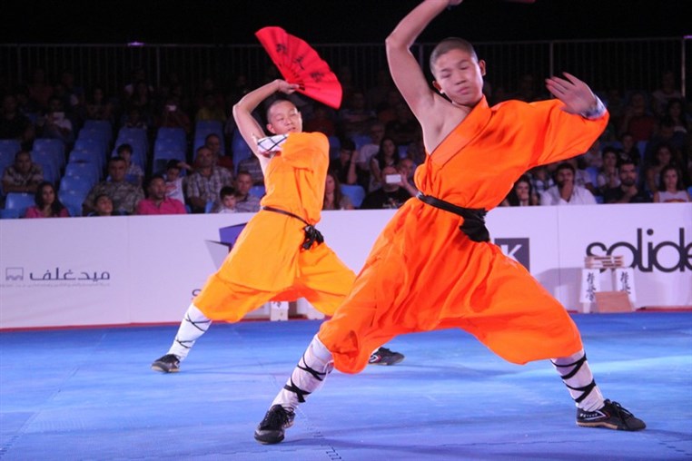 Martial Arts Festival